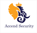 Accend Security® | CCTV | Acess Control | Electric Fence | Alarm Systems | Gate Automation Randburg